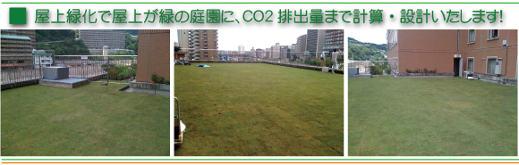 宝塚市の造園・伐採なら関西緑化